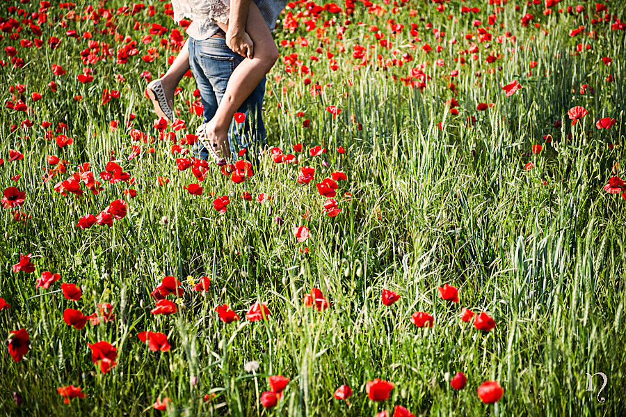 Noemie Artycam fotografia fotografos preboda León campo amapolas pareja flores