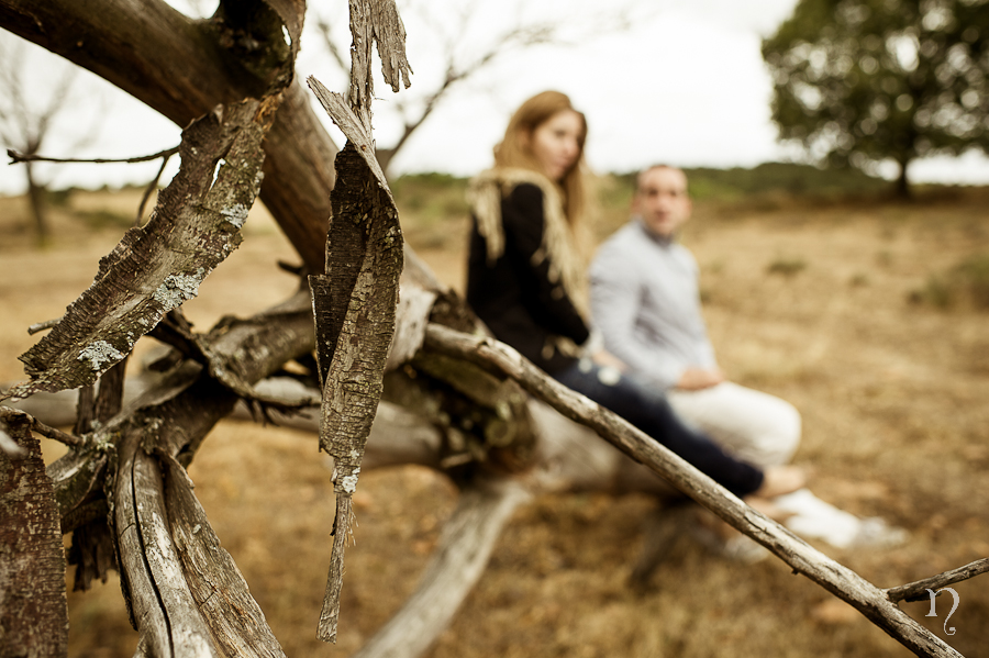 novios campo sentados tronco arbol otoño sesión preboda Artycam fotografía fotografos boda en León