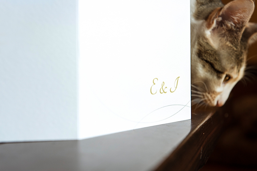 invitación boda sencilla novios gato artycam fotografía Santander León