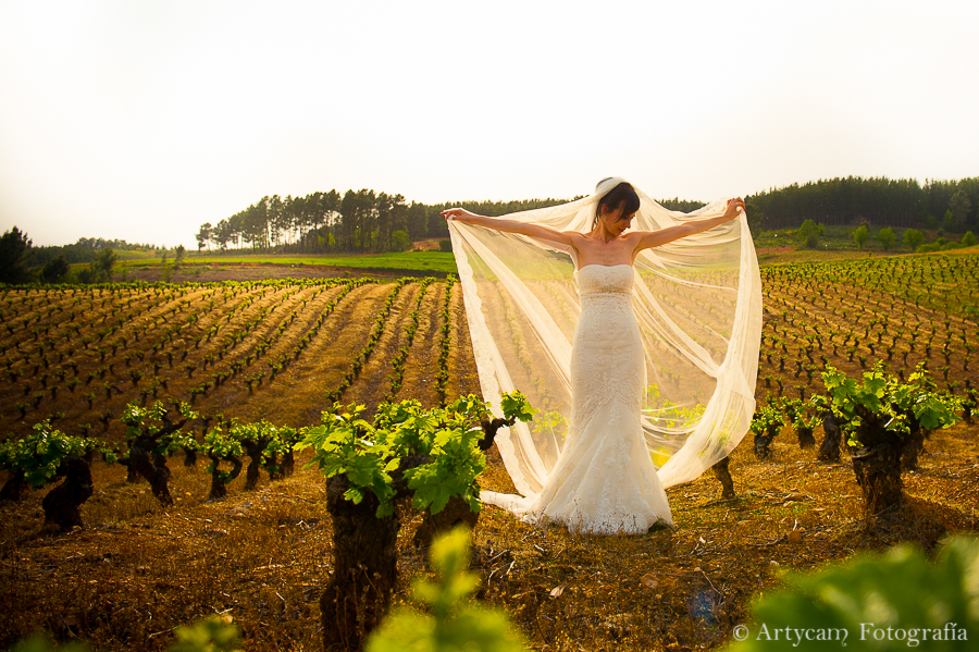 Artycam Fotografia reportaje boda novia campo viñas velo