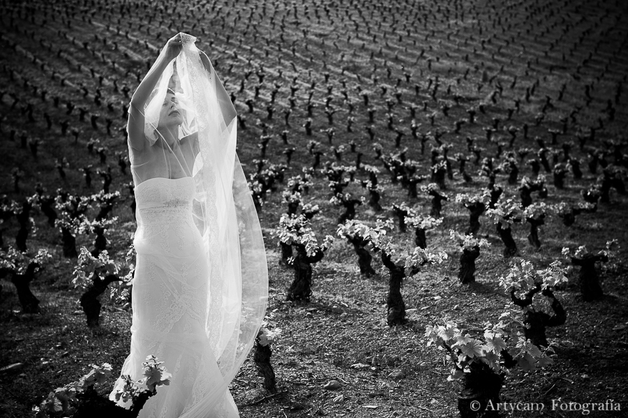 Artycam Fotografia reportaje novia campo viñas velo balnco negro